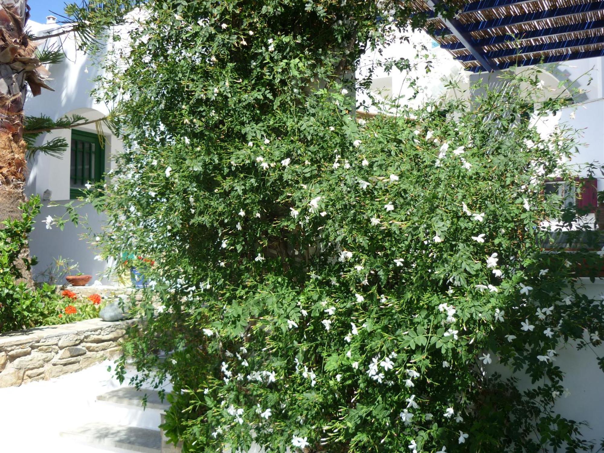 Porto Vlastos Agios Ioannis  Exterior photo